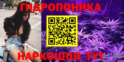 спиды Жуковский