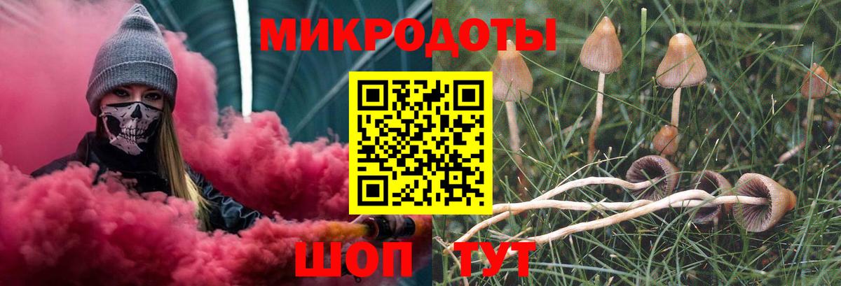 Галлюциногенные грибы MAGIC MUSHROOMS Лесозаводск